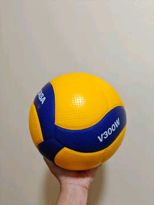 كرة الطائرة ميكاسا 